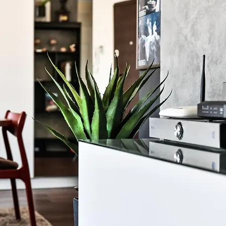 2 Bedroom Penthouse In Center, Free Parking 公寓