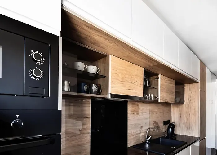 2 Bedroom Penthouse In Center, Free Parking * 塞拉耶佛